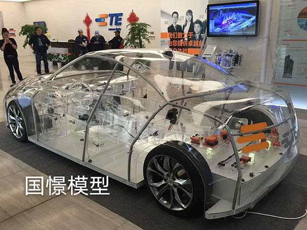 宾阳县透明车模型